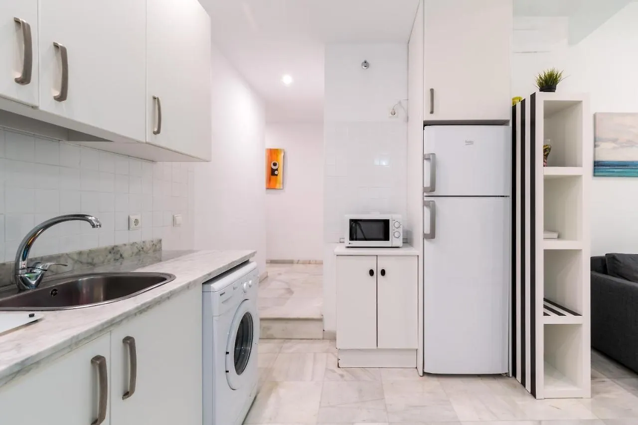 Apartamento Con Terraza En El Centro Historico Apartment Seville 0*,  Spain
